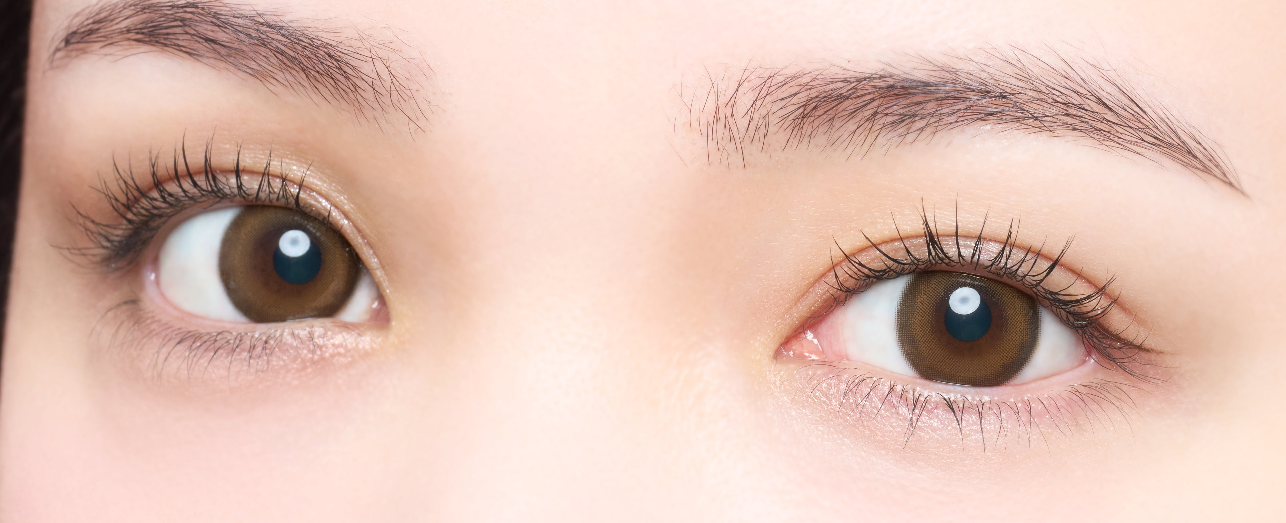 Geheime Bärte Torische Linsen [melotte] | 1day 