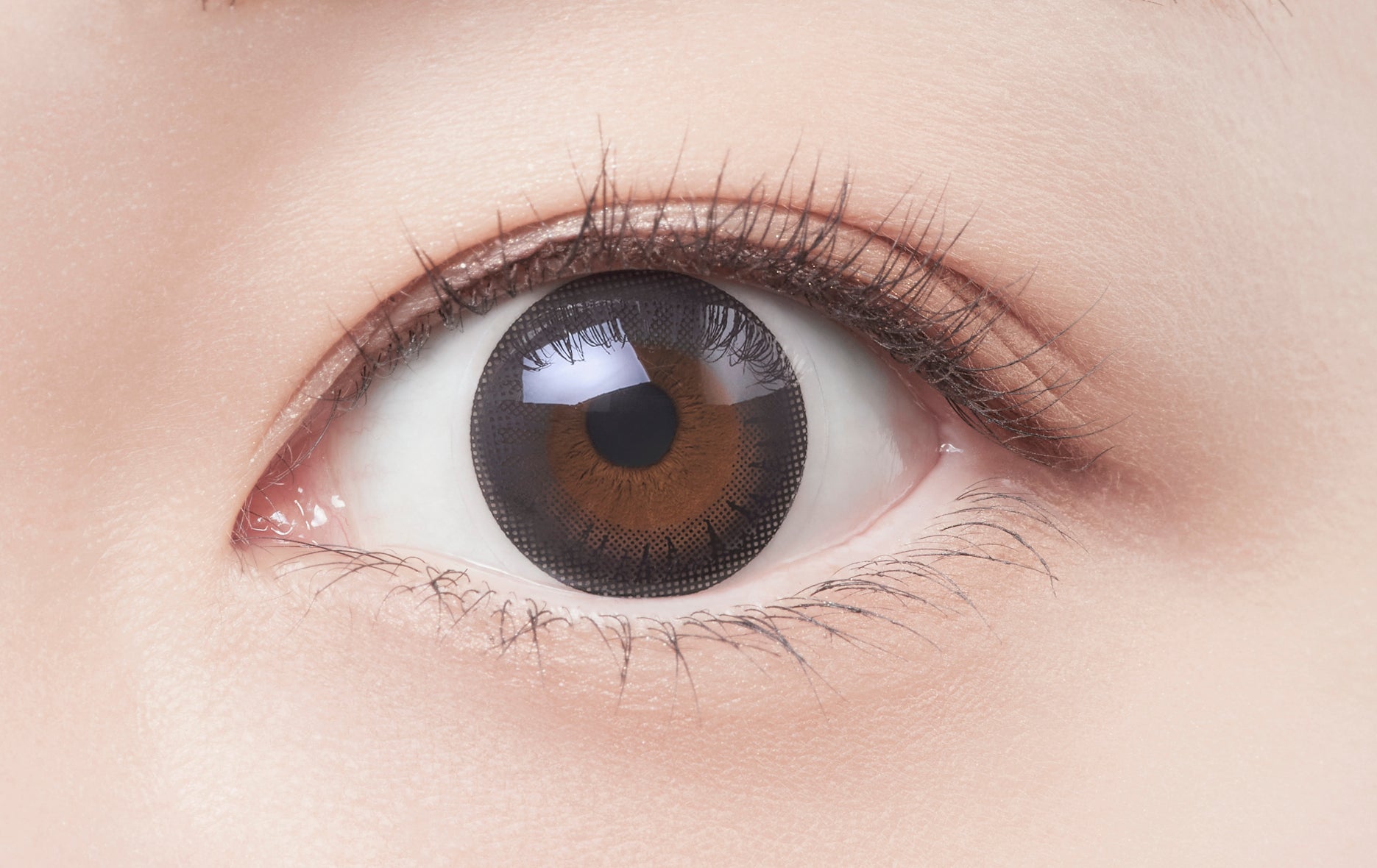 Natural Makeup (black) [Eye coffret] | 1day Colored Contact Lens