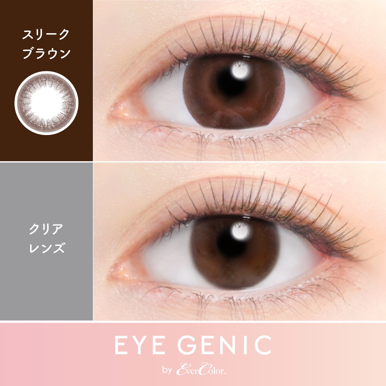 Sleek Brown [EYEGENIC] | 1month