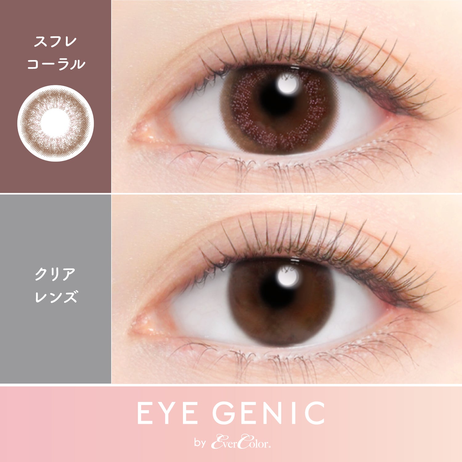 Soufflé Coral  [EYEGENIC] | 1month