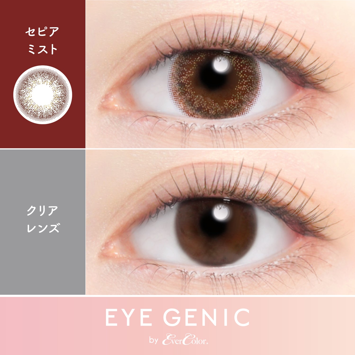 Sepia Mist  [EYEGENIC] | 1month