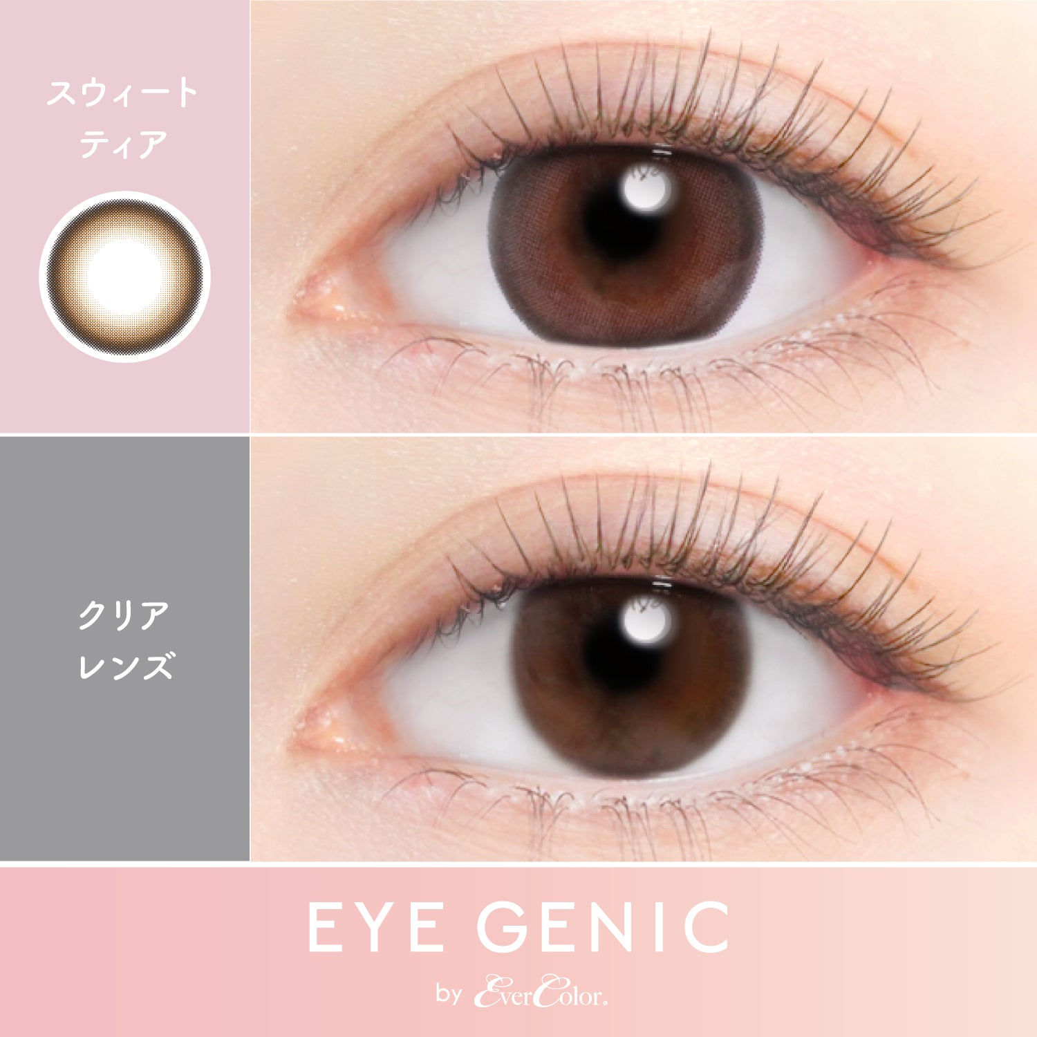 Sweet Tier [EYEGENIC] | 1month