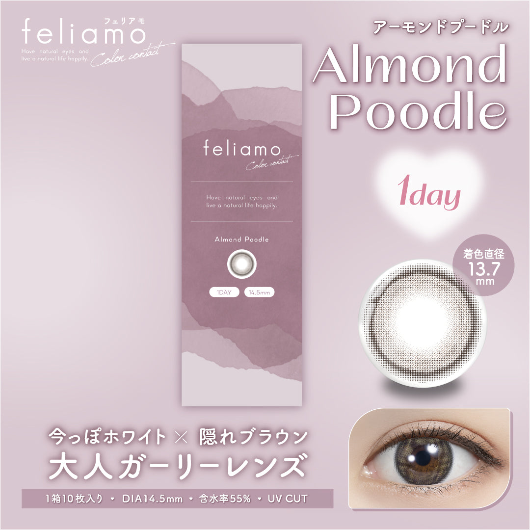 阿尔蒙德普德尔 [feliamo] | 1day 