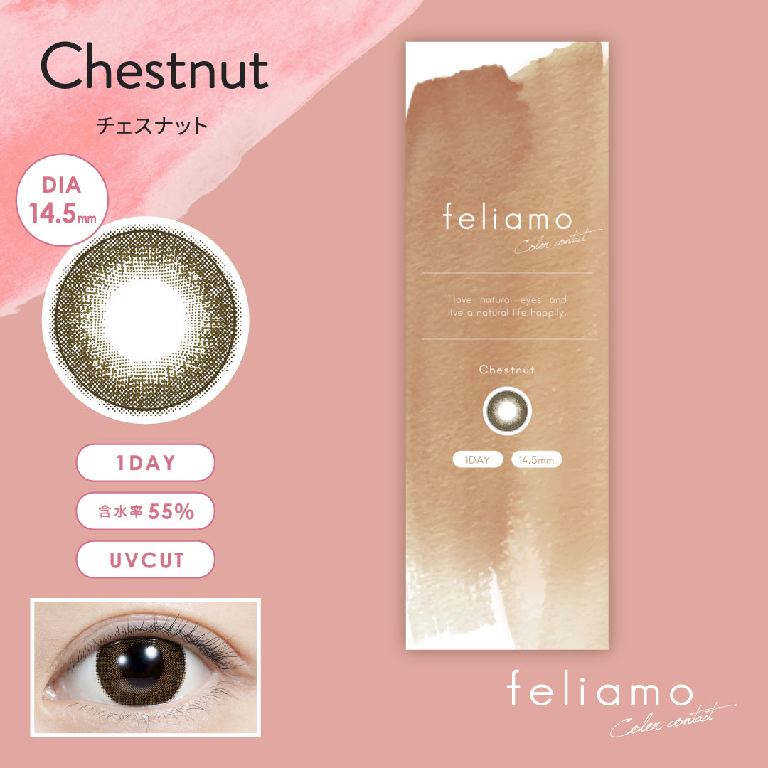 チェスナット [feliamo] | 1day 