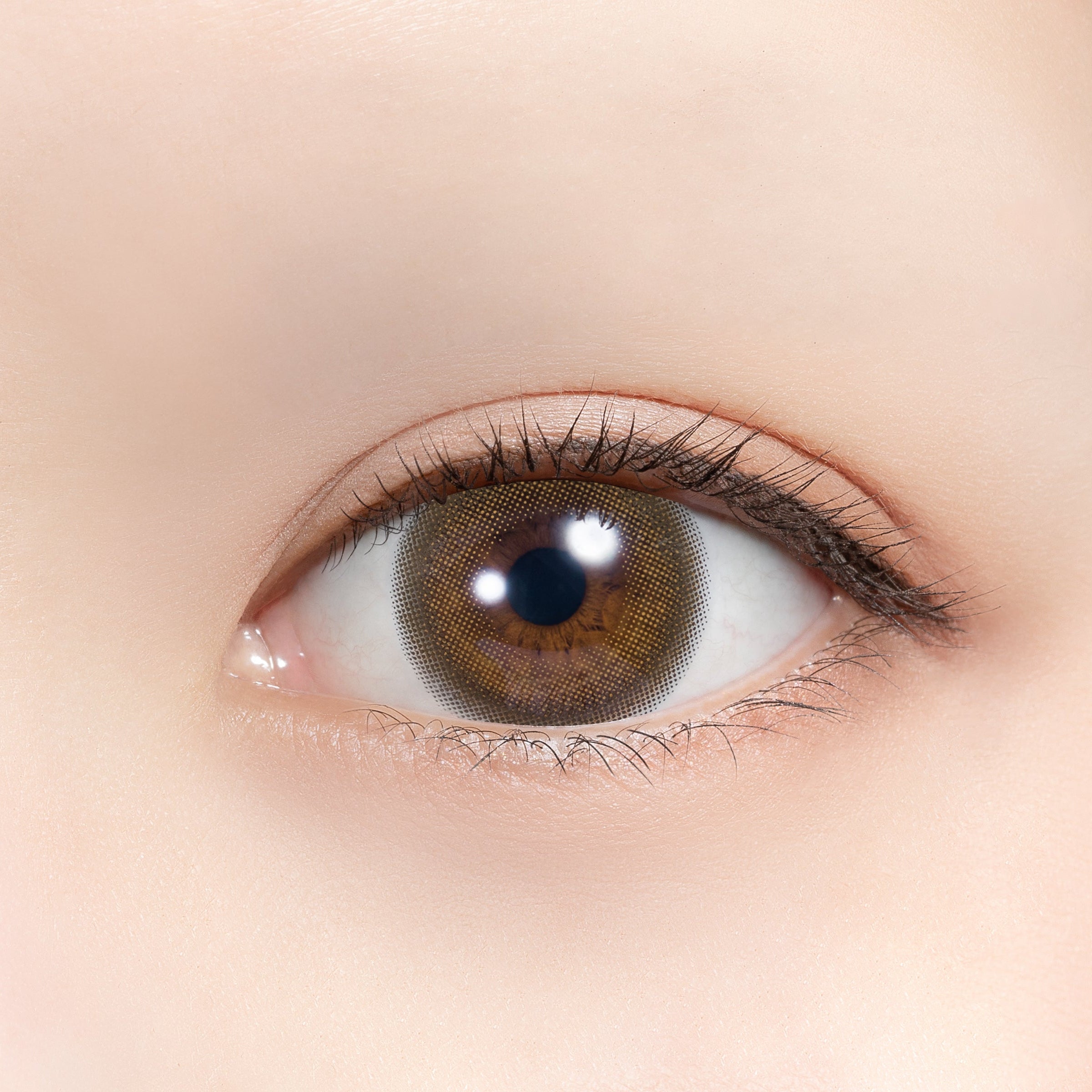 Bateria de lítio [feliamo] | 1day 