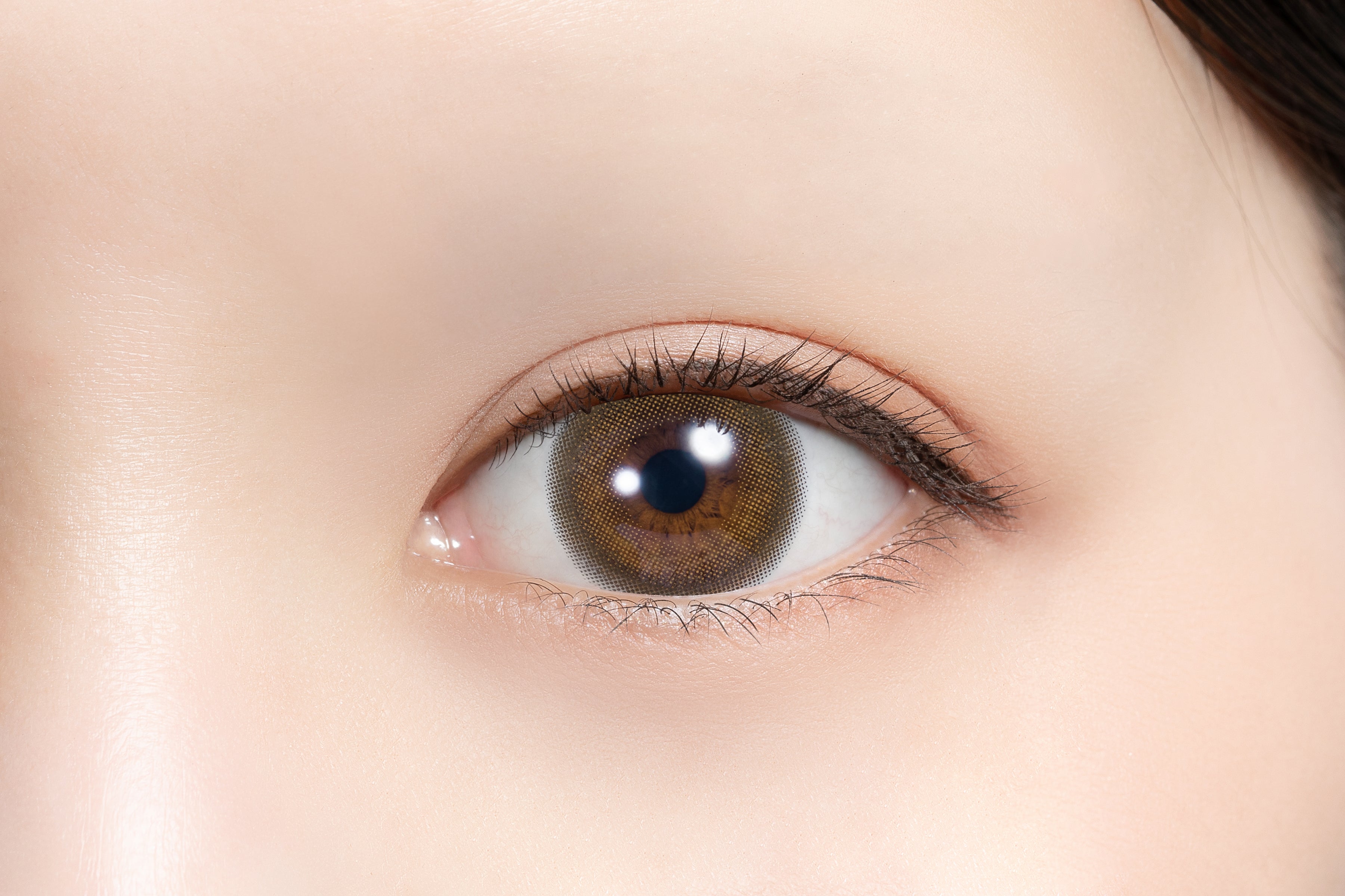 Meltibatter [feliamo] | 1day 