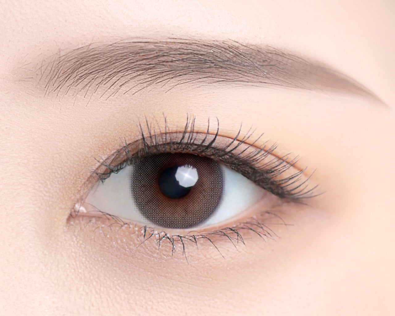 งาดำพริน [ㅎㅎㅎ] | 1month 