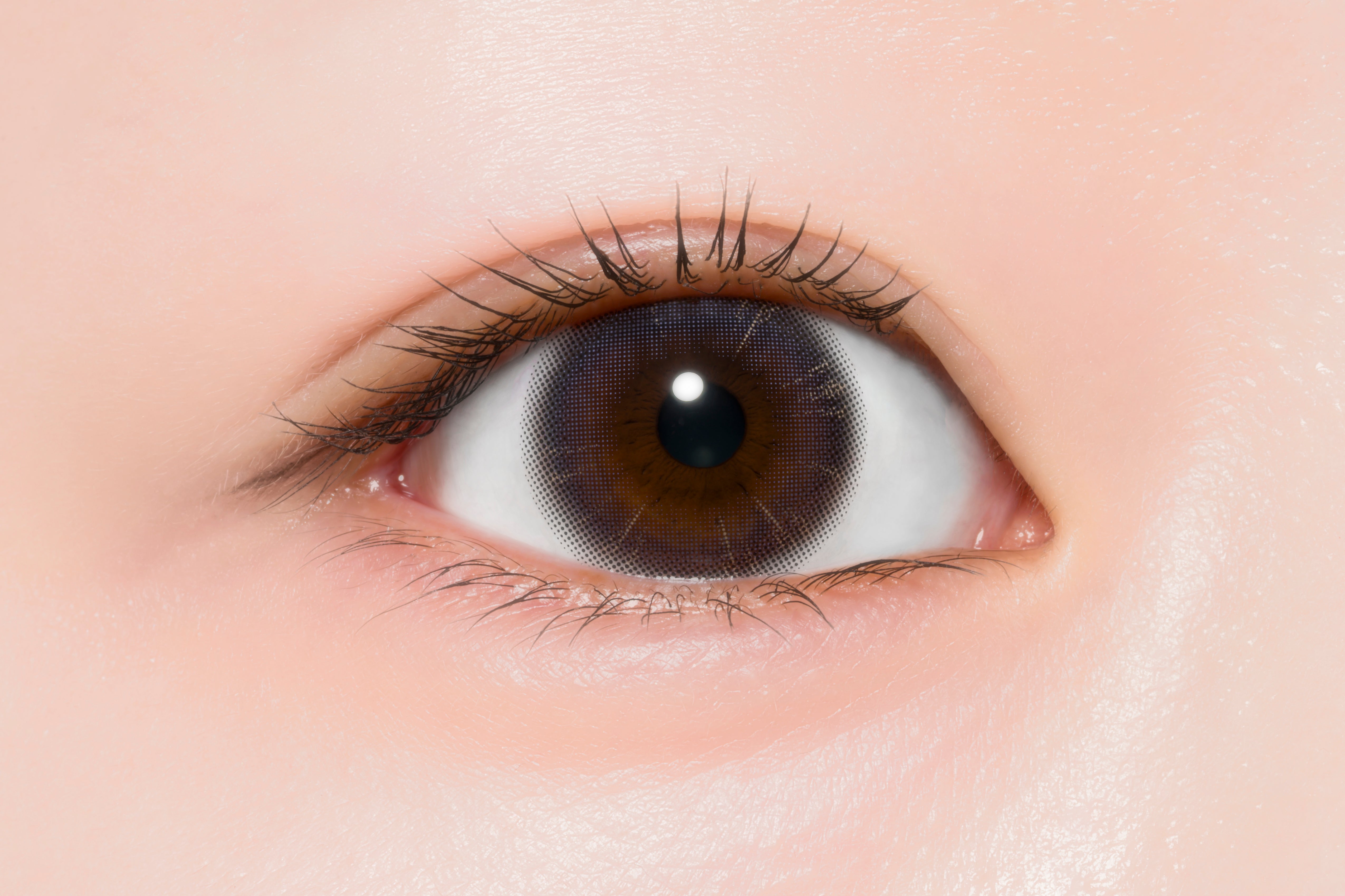 ジェラートブラック [ProWink] | 1day