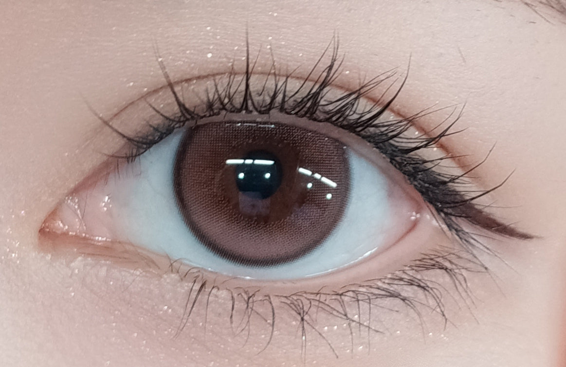 Highlight Pink [FOMOMY] | 1day 