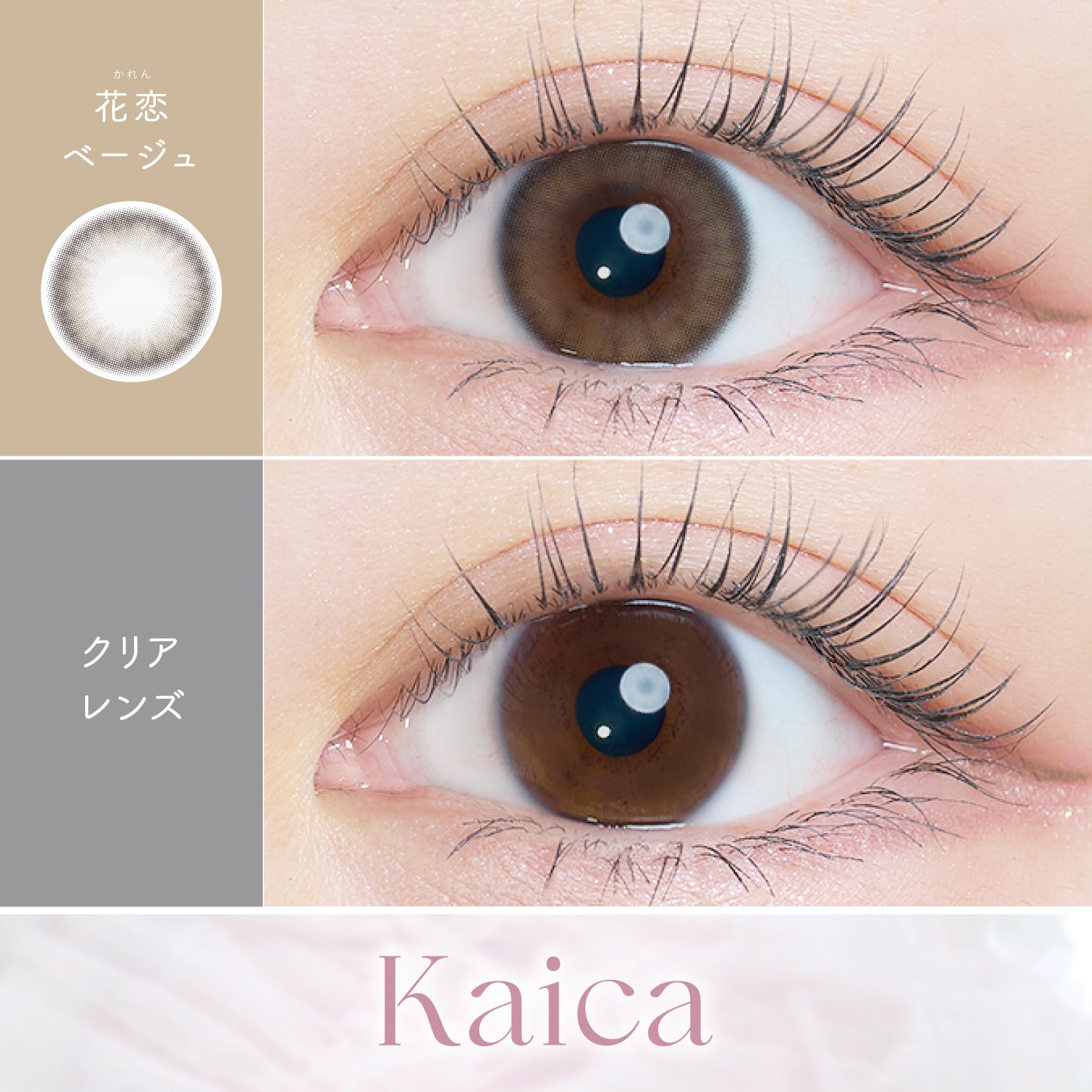 بيج هاناكوي [Kaica] | 1day 