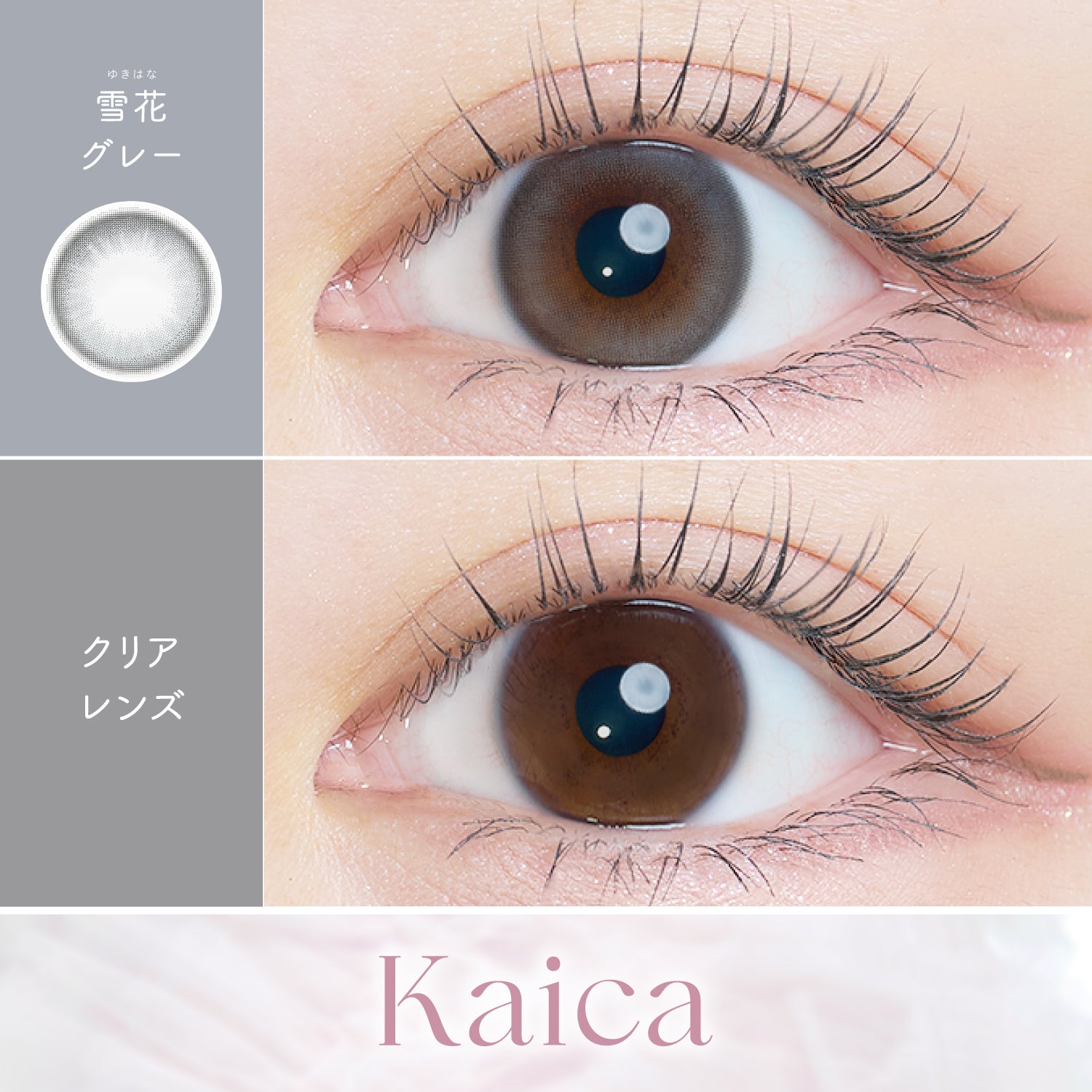 Snow Grey [Kaica] | 1day 