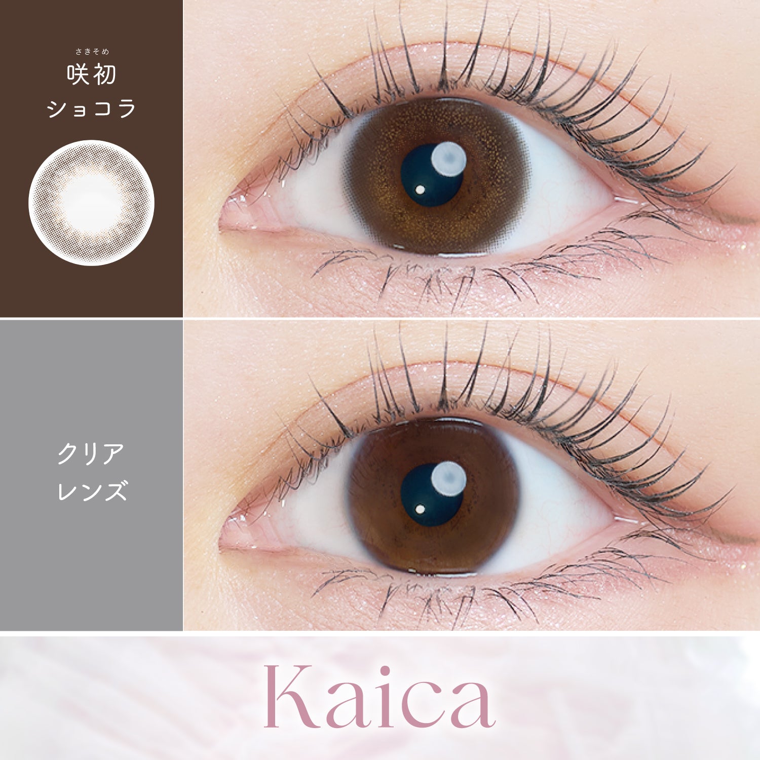 Sakisome Chocolat  [Kaica] | 1day 