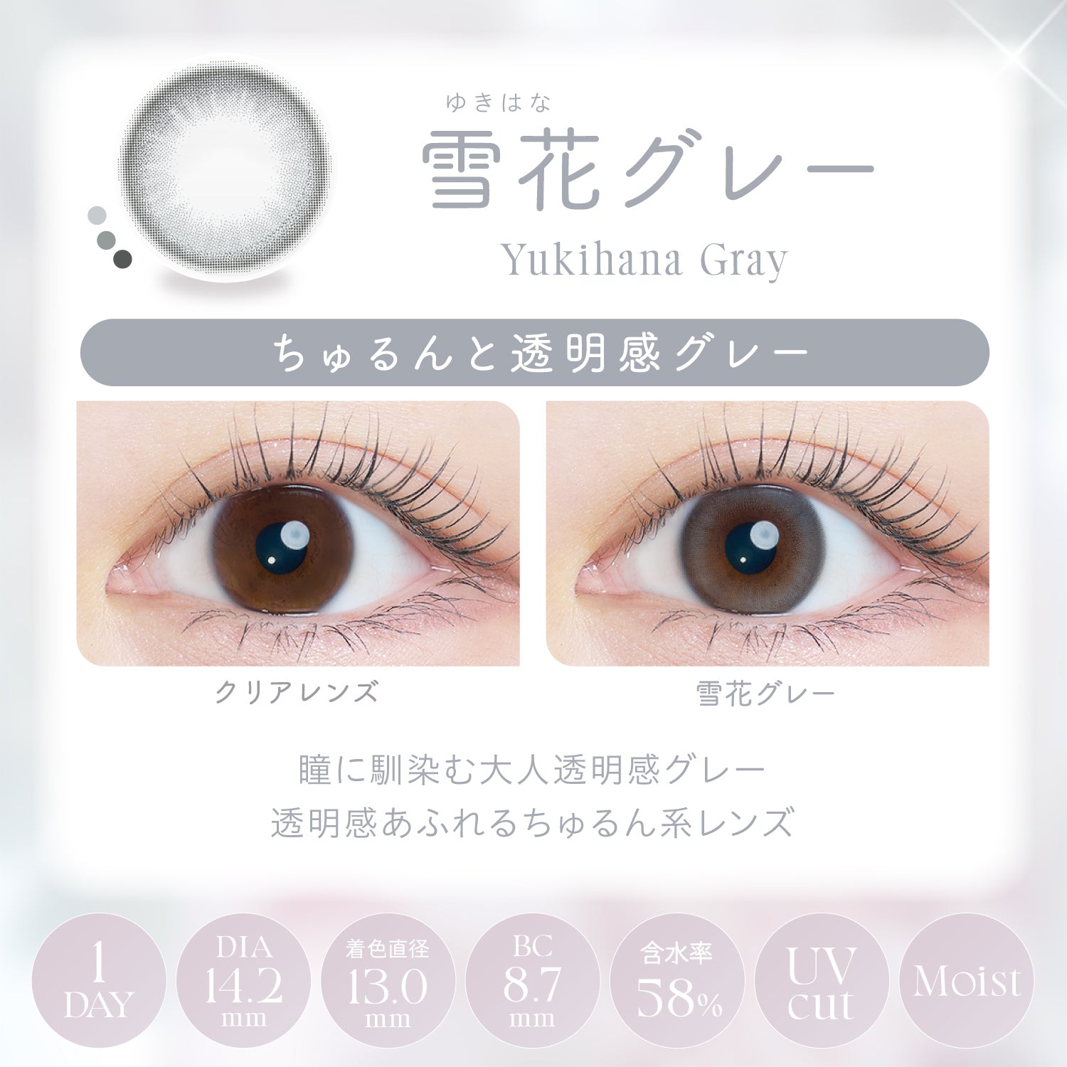 Snow Grey [Kaica] | 1day 