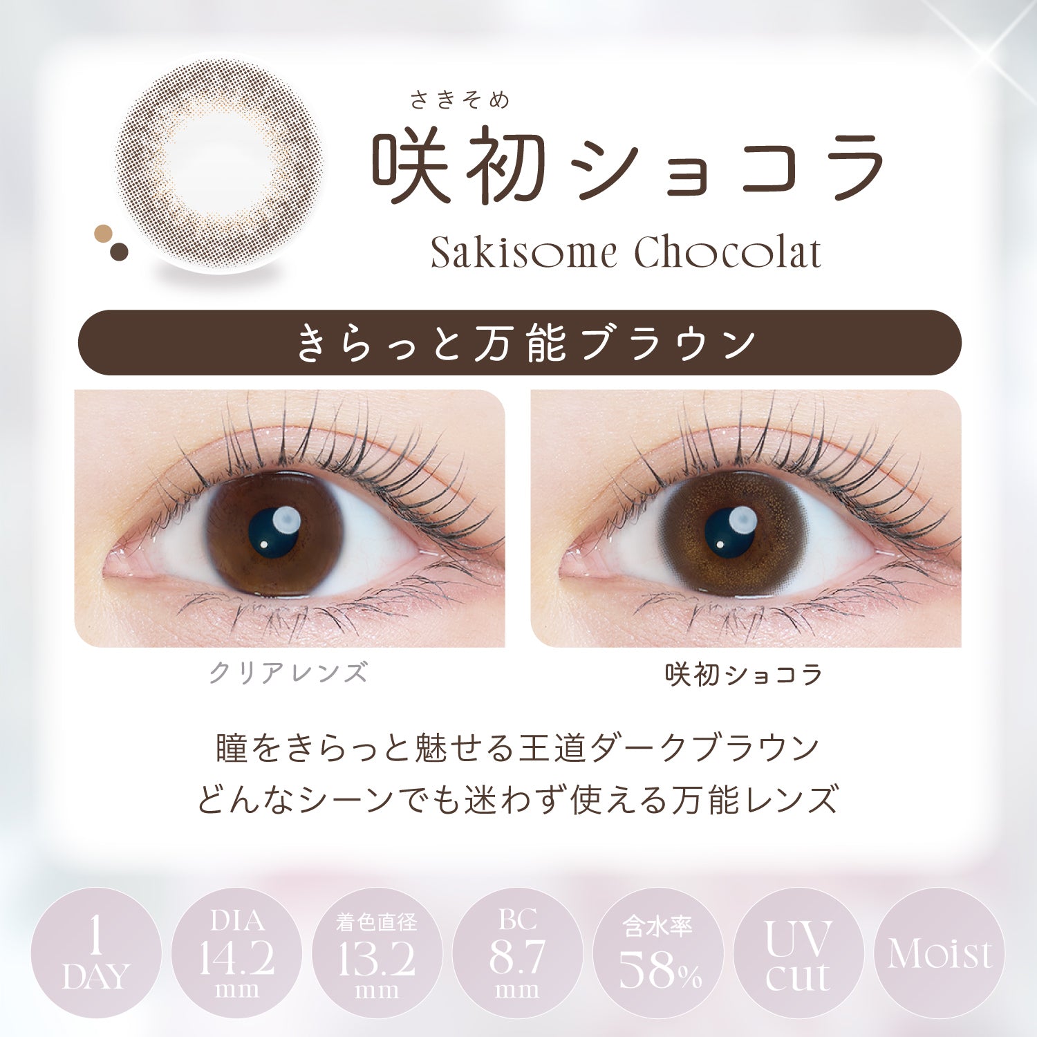 Sakisome Chocolat  [Kaica] | 1day 