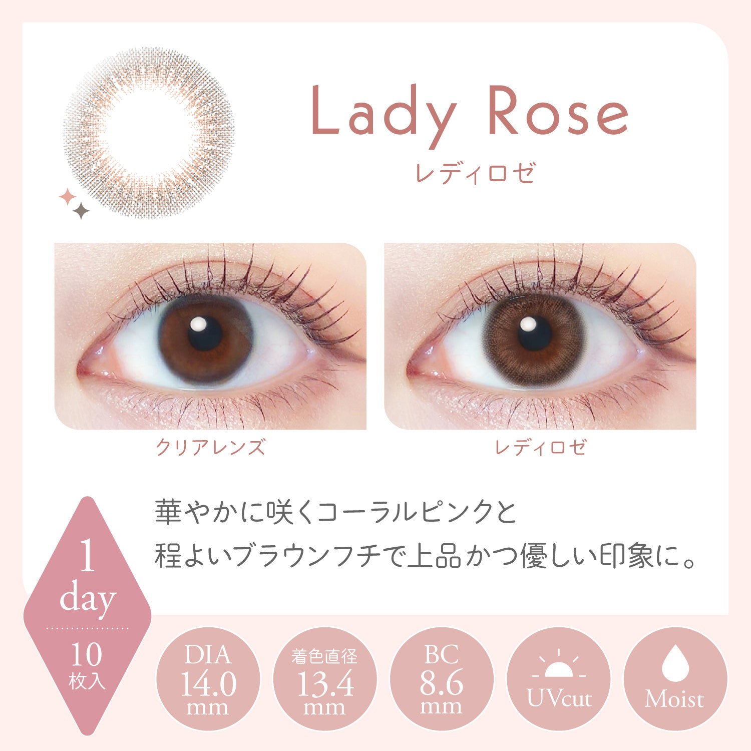 Lady Rose | 1day