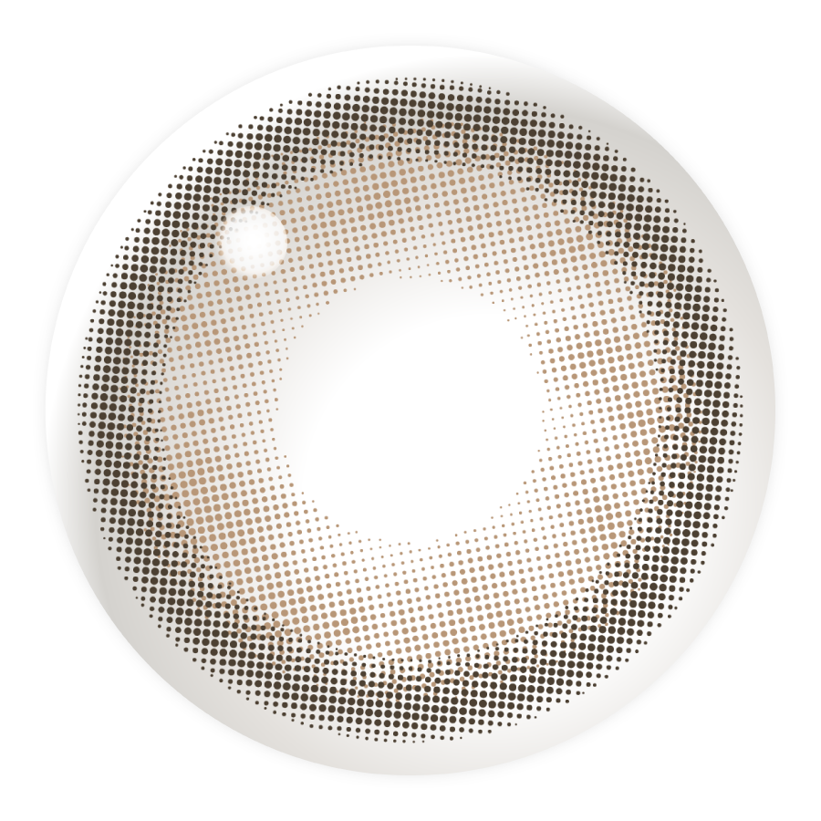 Fondazione [Lemieu] | 1day 