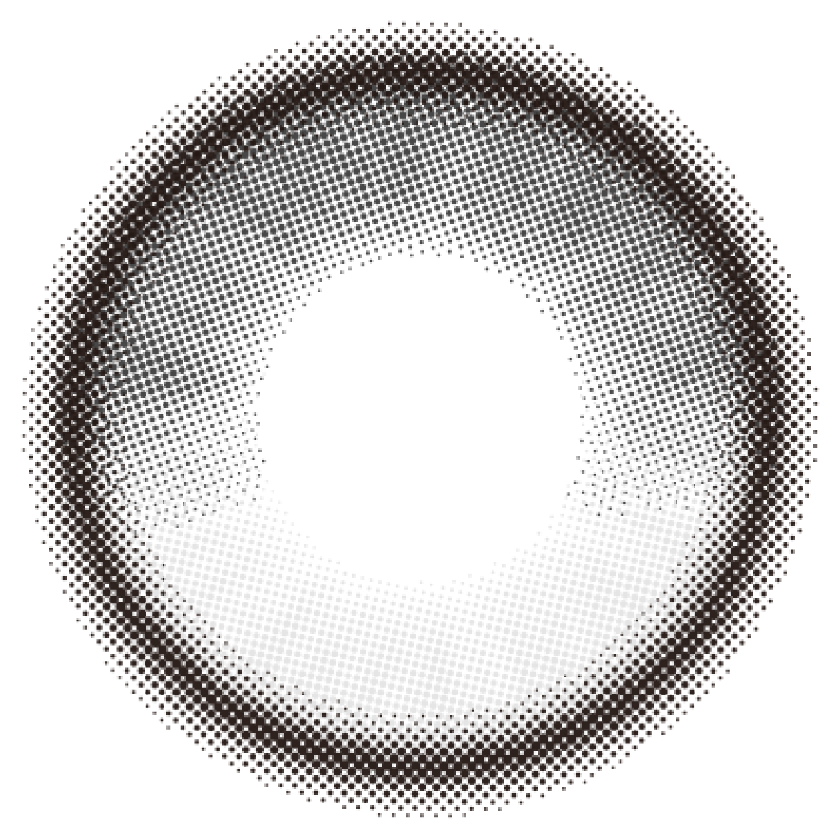 Gris Onyx [Quprie] | 1day 