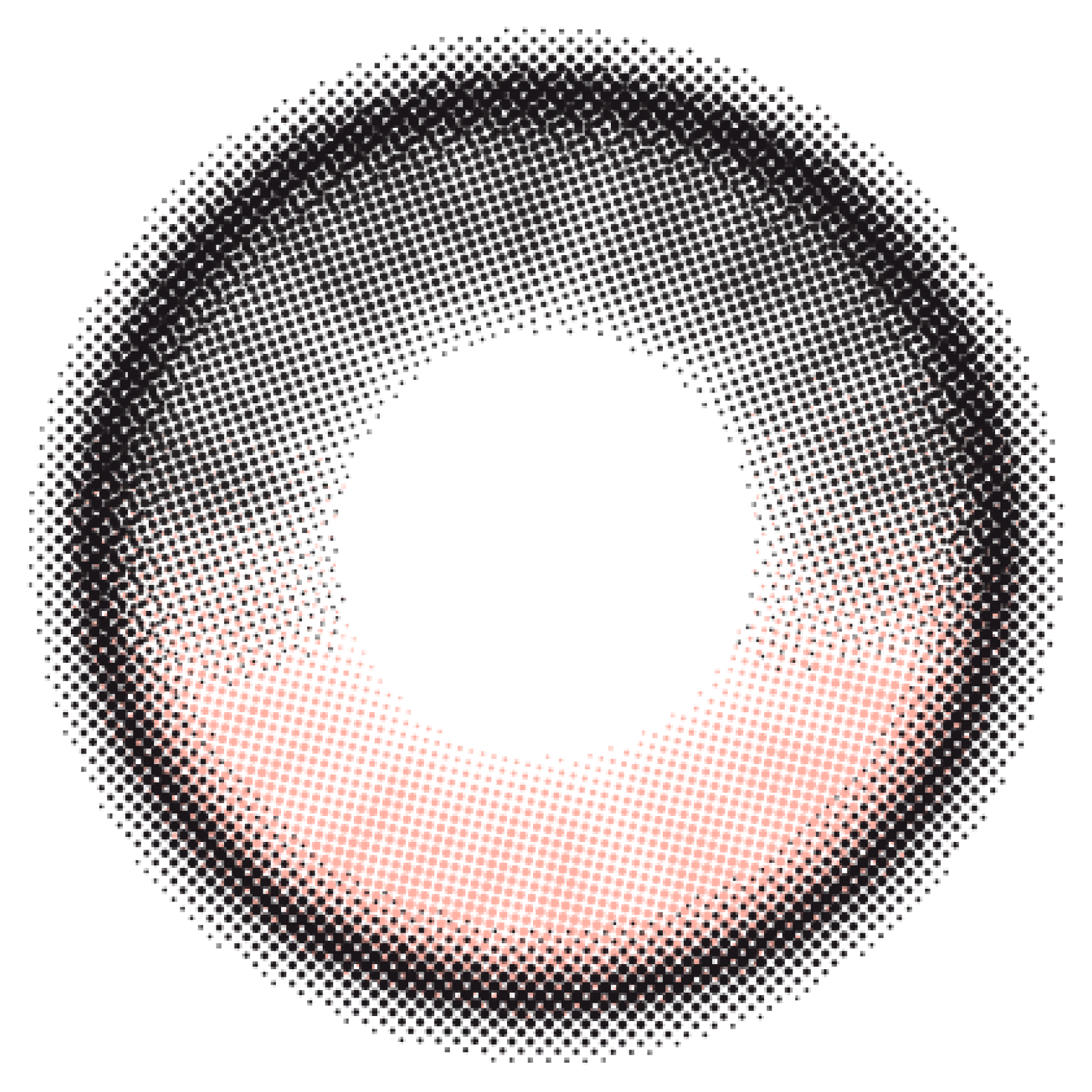 Rose Camellia [Quprie] | 1day 