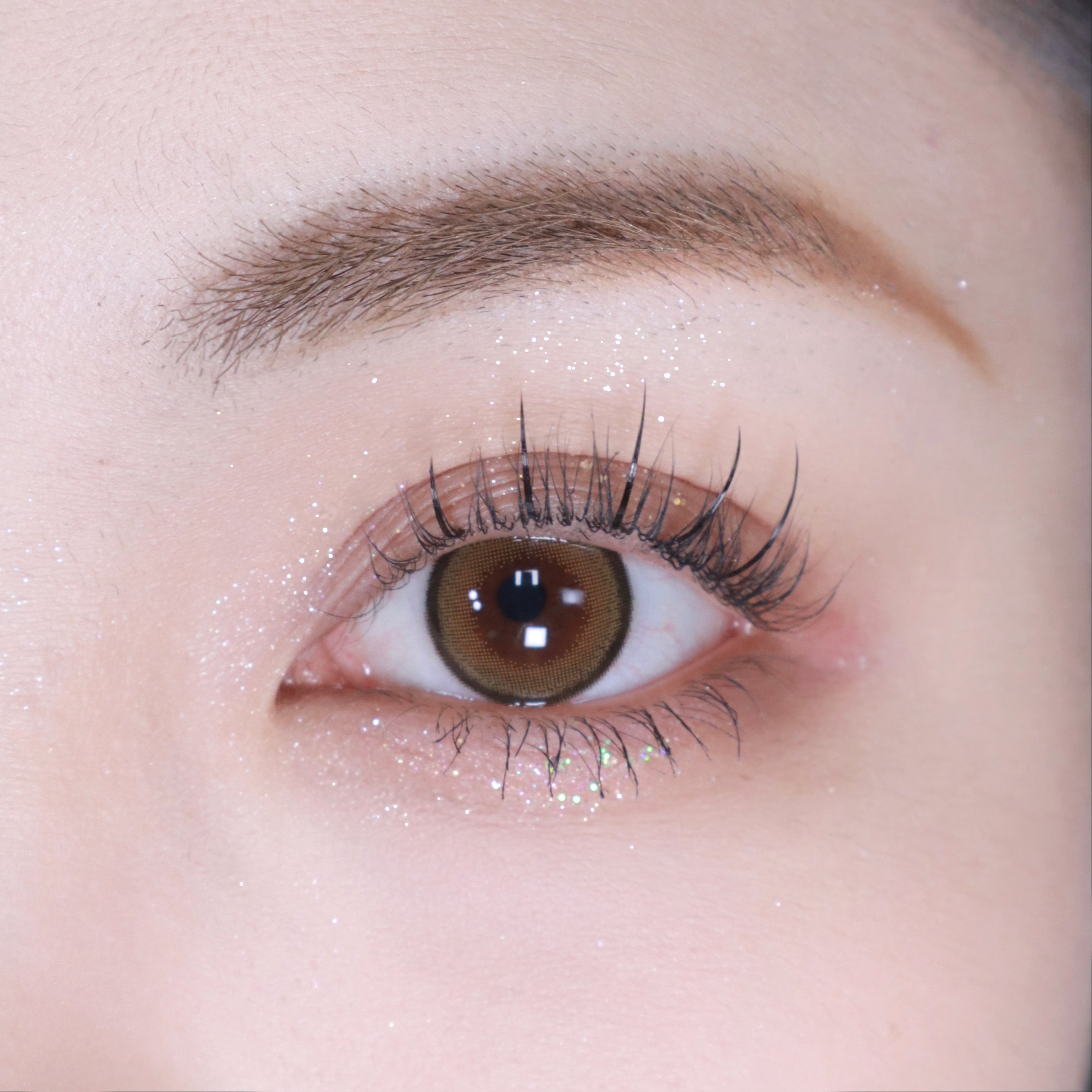 Light Brown [FOMOMY] | 1month 