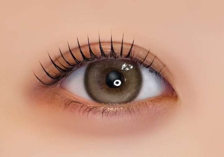 마로네이주 [Ferenne] | 1day 