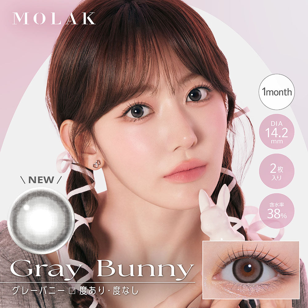 Gray Bunny [MOLAK] | 1month 