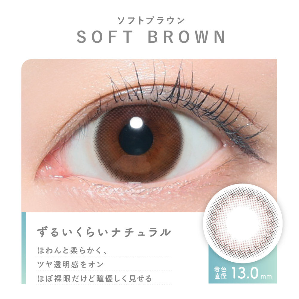 Soft Brown | 1day