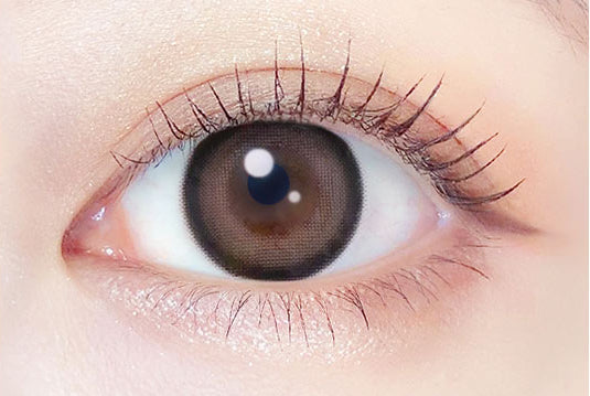 Teddy Mocha [EverColor] | 1month Colored Contact Lens - DIA 14.5mm