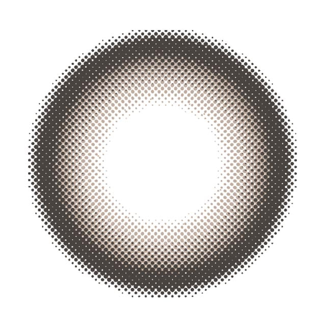 Teddy Mocha [EverColor] | 1month 