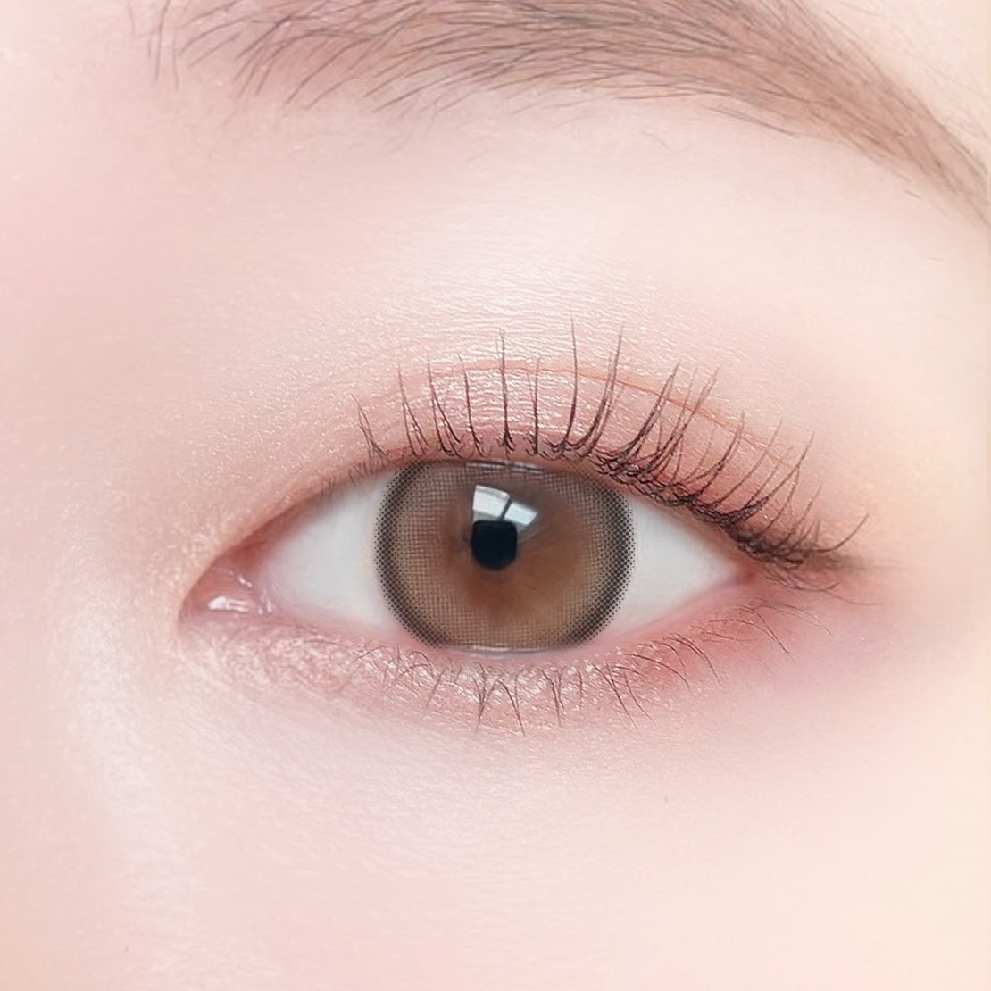 夢見保羅 [Viewm] | 1day 