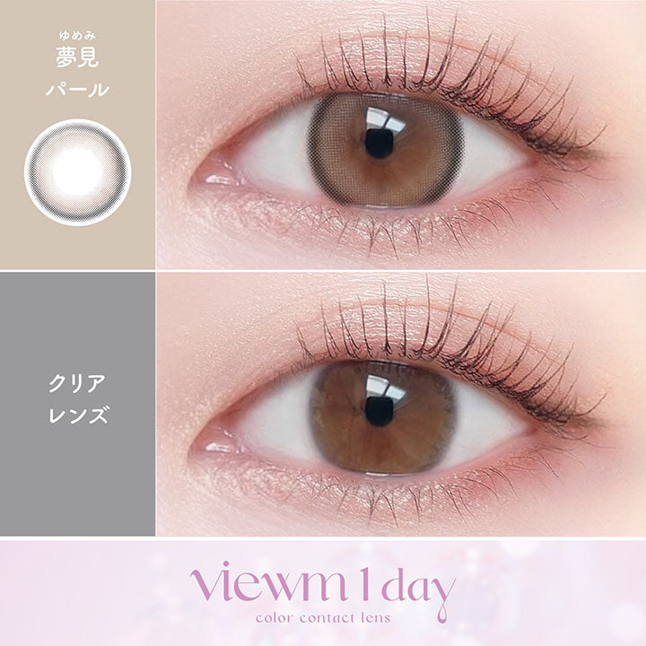 夢見保羅 [Viewm] | 1day 