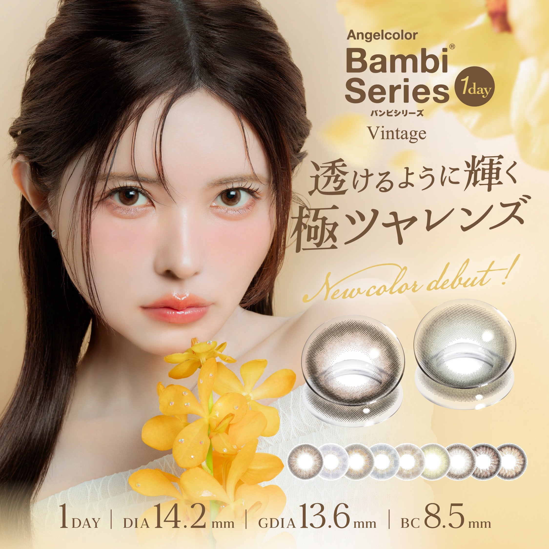 CUNE 希少性高♩ 蓄光カラー Pure Brown [Bambi Series] | 1day Colored Contact Lens - DIA 14.2mm