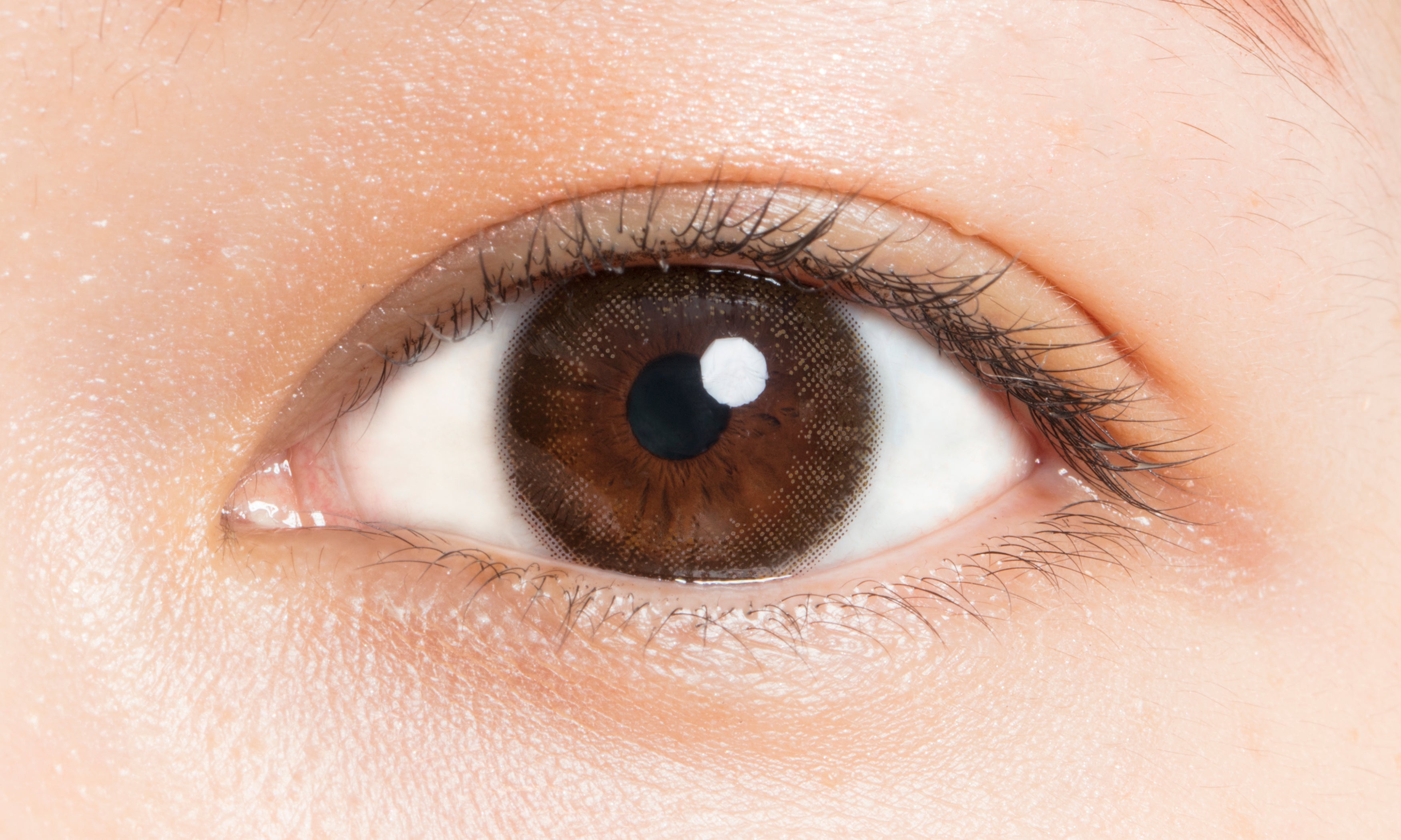 カラーコンタクトレンズ、LuMia ヌーディーブラウン モイスチャー 14.2mm | 1dayを装用した状態の目のアップ画像