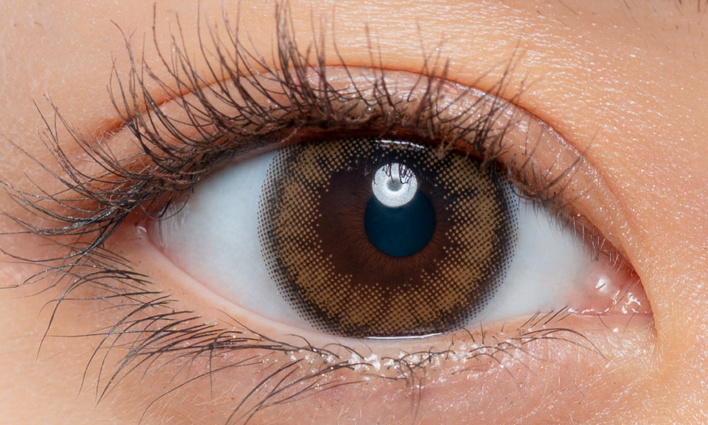 カラーコンタクトレンズ、Cheritta パピーブラウン | 1dayを装用した状態の目のアップ画像