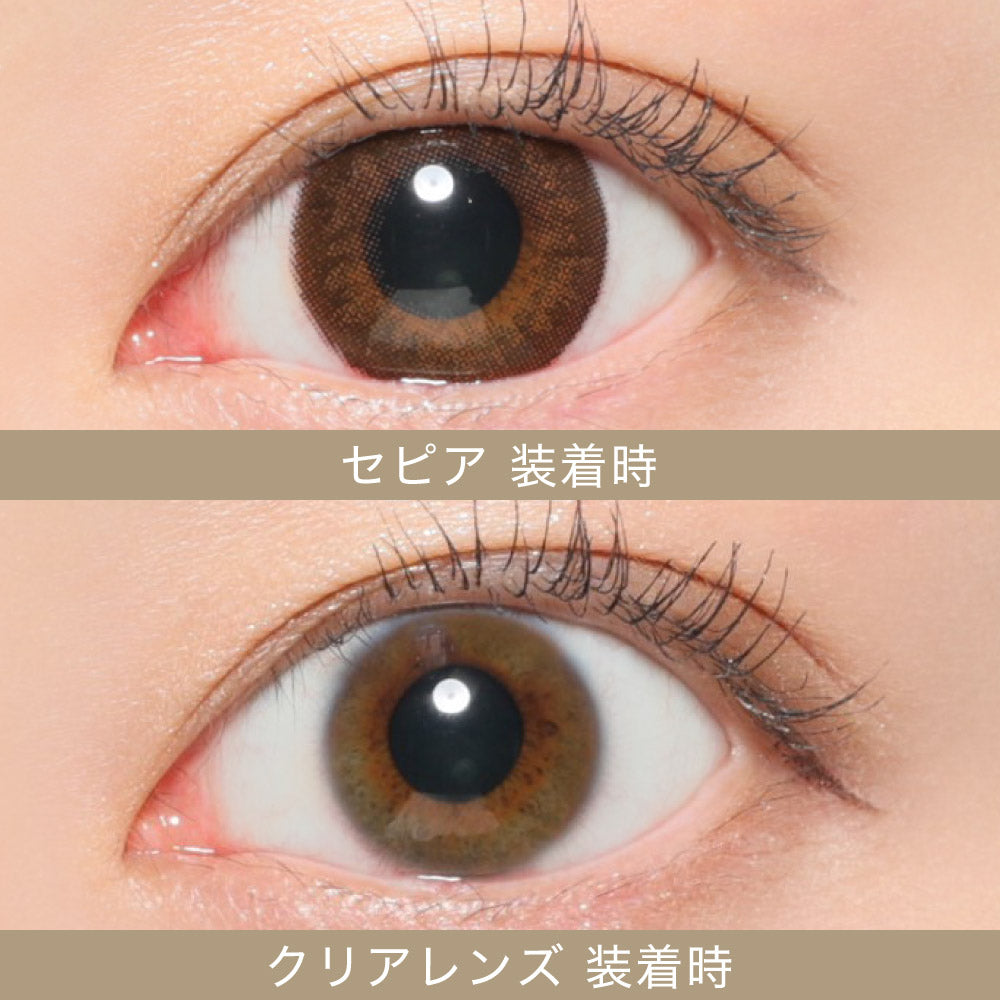 セピア | 1day DIA 14.5mm - secret candymagic | シークレットキャンディーマジック - Push!Color  カラコン買うならプッシュカラー