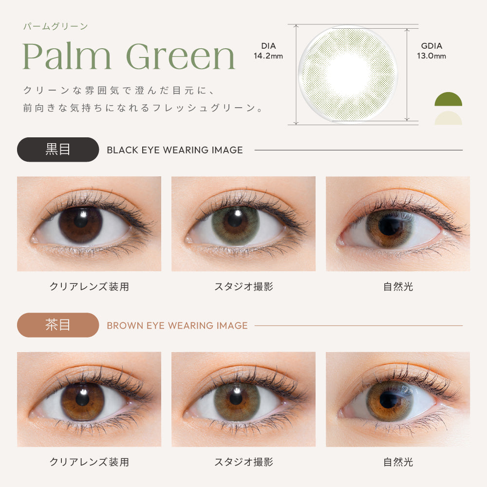 カラーコンタクトレンズ、perse パームグリーン | 1dayを装用した状態の目のアップ画像