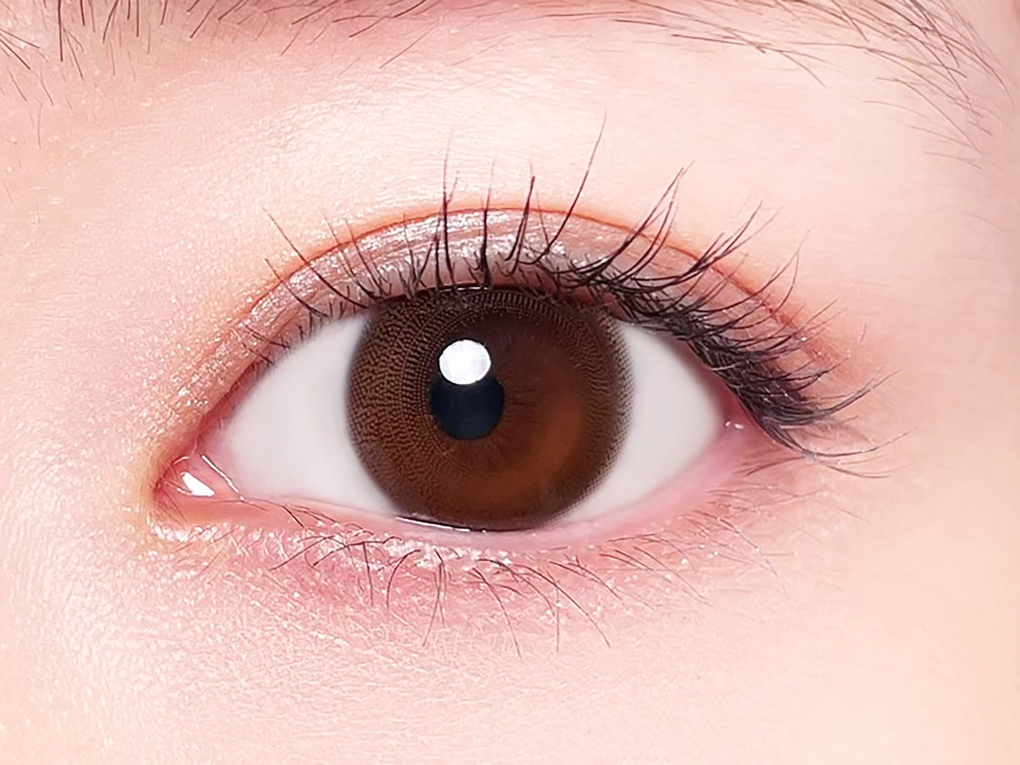 カラーコンタクトレンズ、BELTA ピュアブラウン | 2weekを装用した状態の目のアップ画像