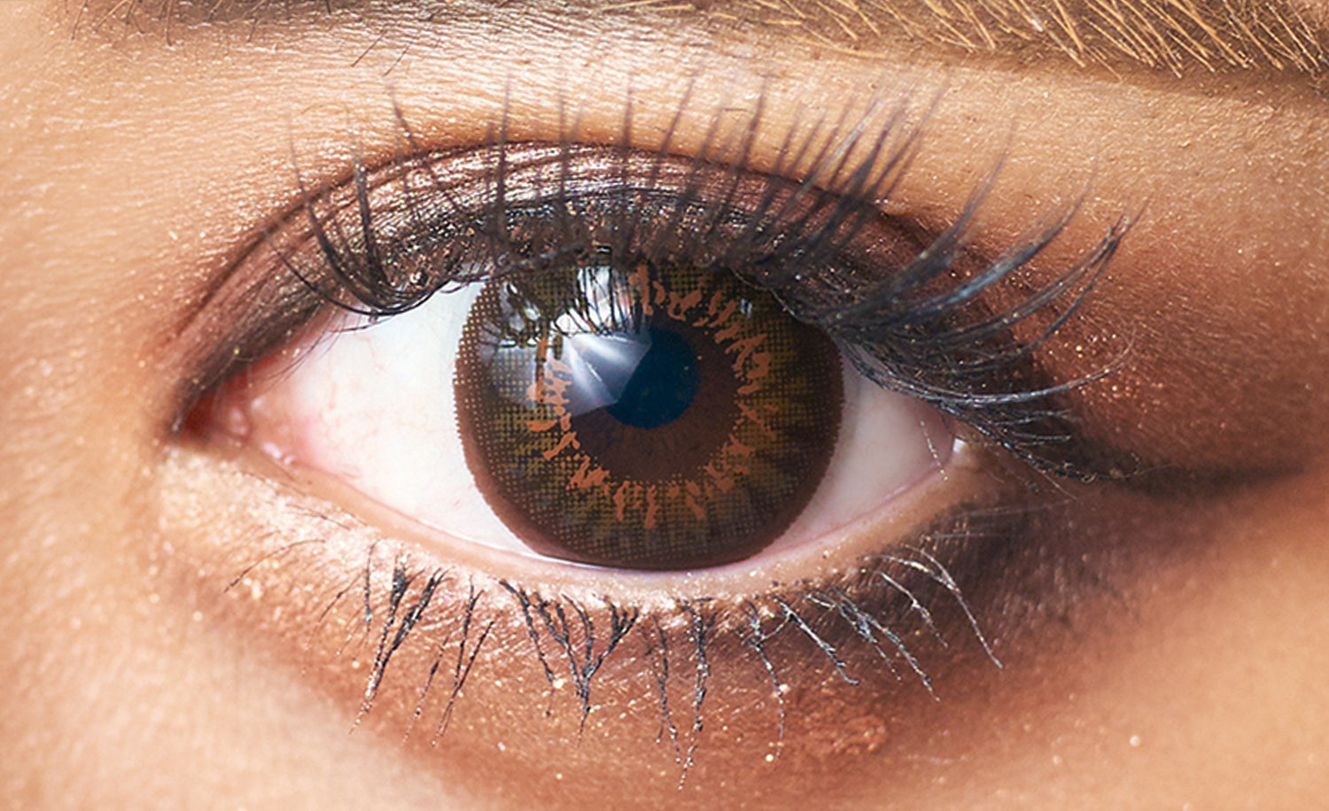 カラーコンタクトレンズ、EYEMAZING シャインブラウン | 1dayを装用した状態の目のアップ画像