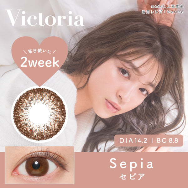 Sepia | 2weeks DIA 14.2mm - Victoria - Push!Color - Japan's Color Contacts  Specialty Store