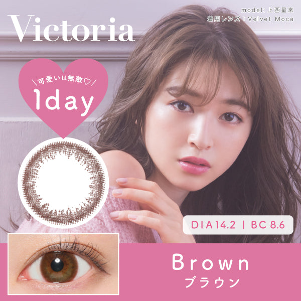 Brown [Victoria] | 1day Colored Contact Lens - DIA 14.2mm | Push!Color