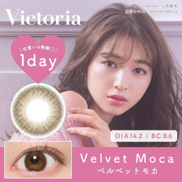 Velvet Mocha [Victoria] | 1day Colored Contact Lens - DIA 14.2mm